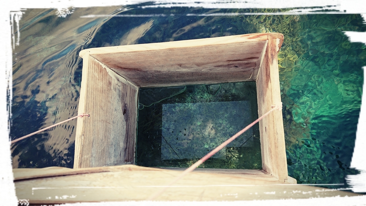 f:id:fuzuki-satuki:20191014024013j:plain