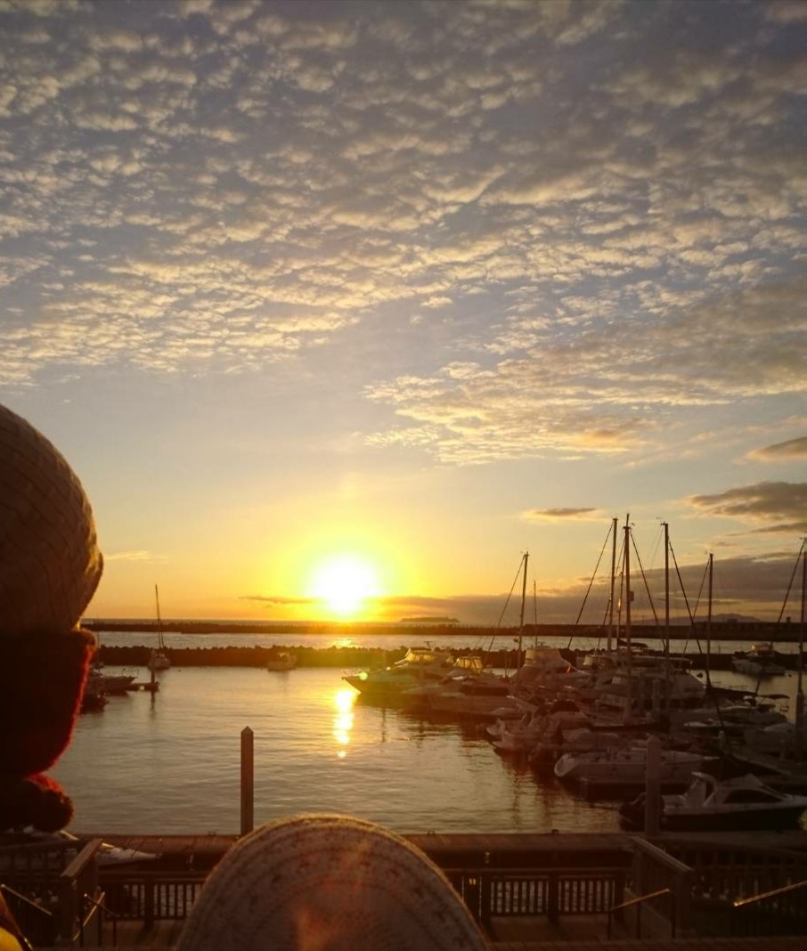 f:id:fuzuki-satuki:20191026011001j:plain