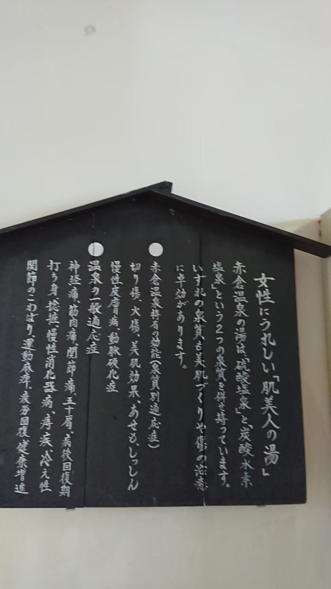 f:id:fuzuki-satuki:20200201004755j:plain