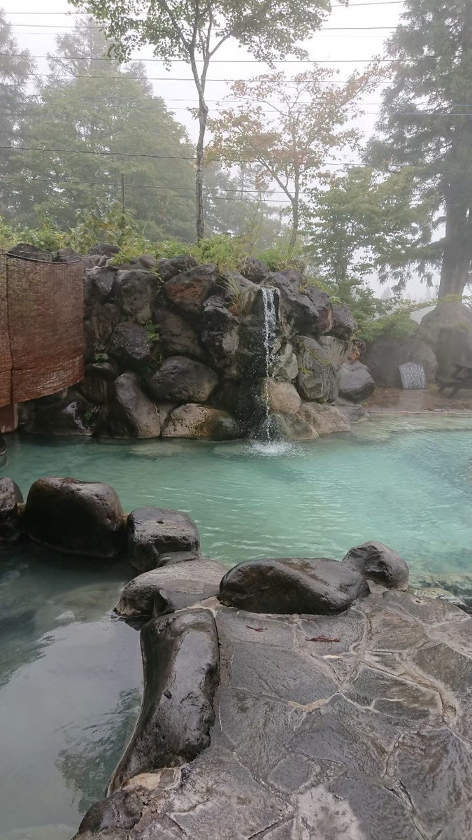 f:id:fuzuki-satuki:20200201005115j:plain