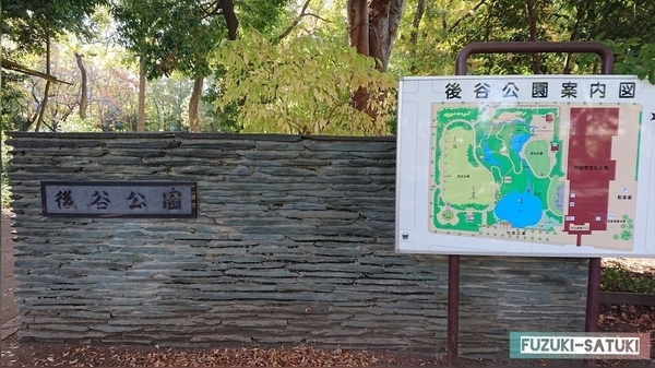 f:id:fuzuki-satuki:20200602000621j:plain