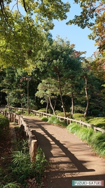 f:id:fuzuki-satuki:20200602000749j:plain