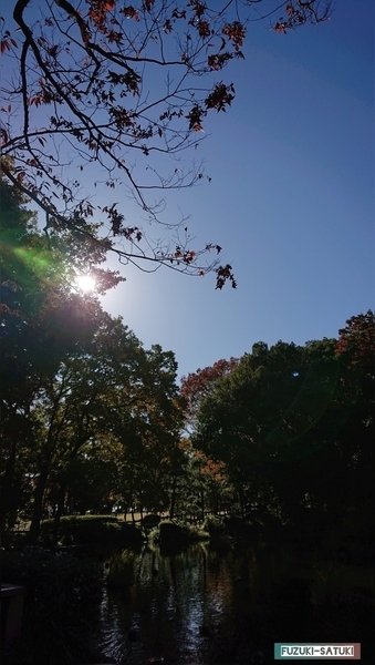 f:id:fuzuki-satuki:20200602001103j:plain