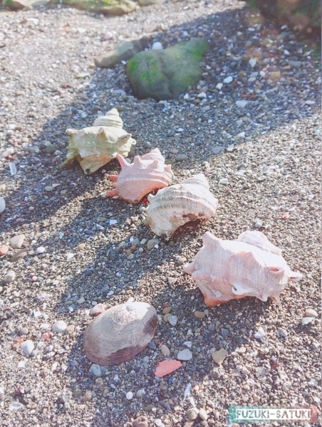 f:id:fuzuki-satuki:20200602011828j:plain