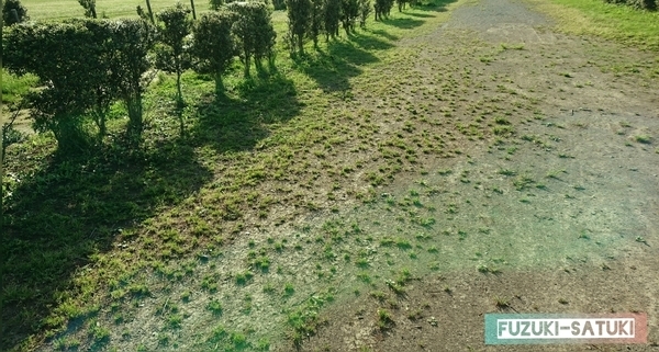 f:id:fuzuki-satuki:20200602012518j:plain