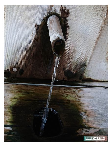 f:id:fuzuki-satuki:20200602023927j:plain