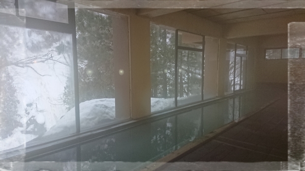 f:id:fuzuki-satuki:20200602133915j:plain