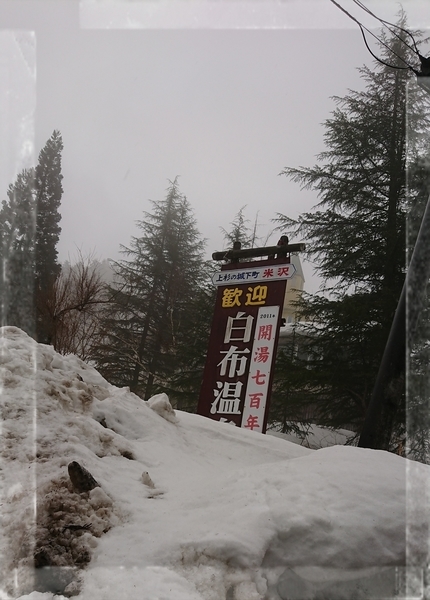 f:id:fuzuki-satuki:20200602134154j:plain