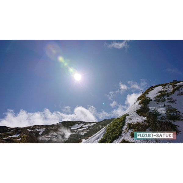 f:id:fuzuki-satuki:20200602161451j:plain