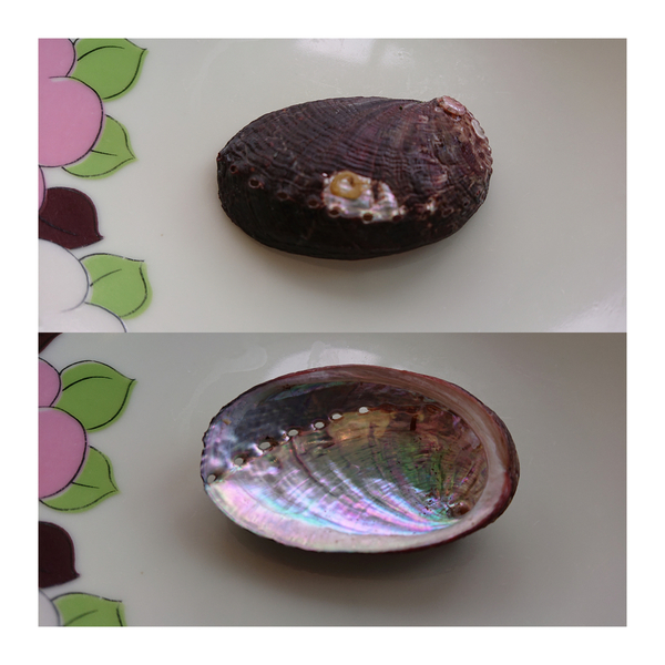 f:id:fuzuki-satuki:20200602231034j:plain