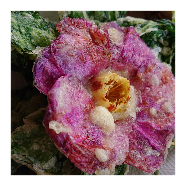 f:id:fuzuki-satuki:20200602231112j:plain