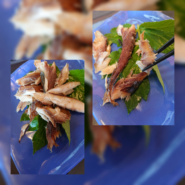 f:id:fuzuki-satuki:20200602231352j:plain