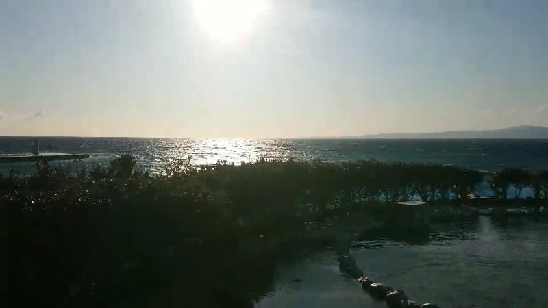 f:id:fuzuki-satuki:20200602233457j:plain