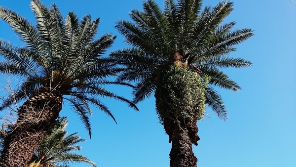 f:id:fuzuki-satuki:20200602233520j:plain