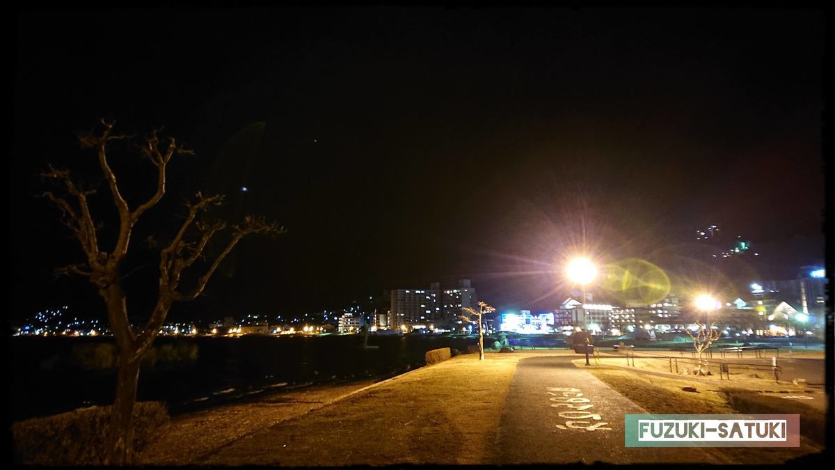 f:id:fuzuki-satuki:20200610235652j:plain