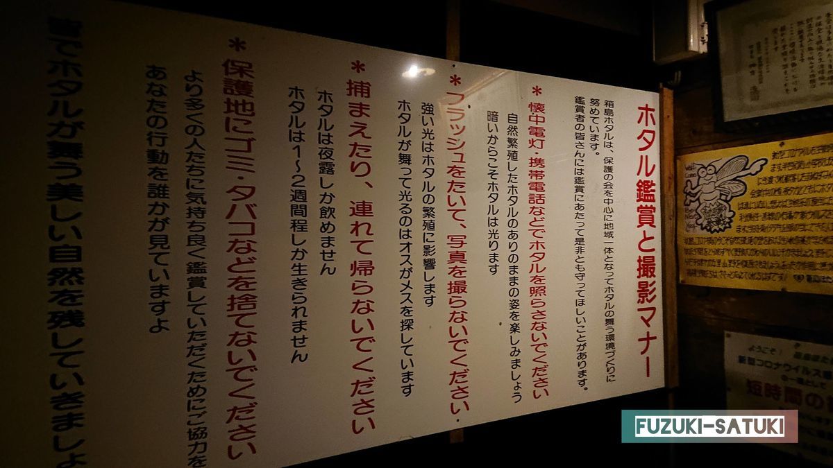 f:id:fuzuki-satuki:20200630000120j:plain