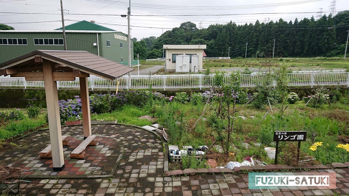 f:id:fuzuki-satuki:20200630000213j:plain