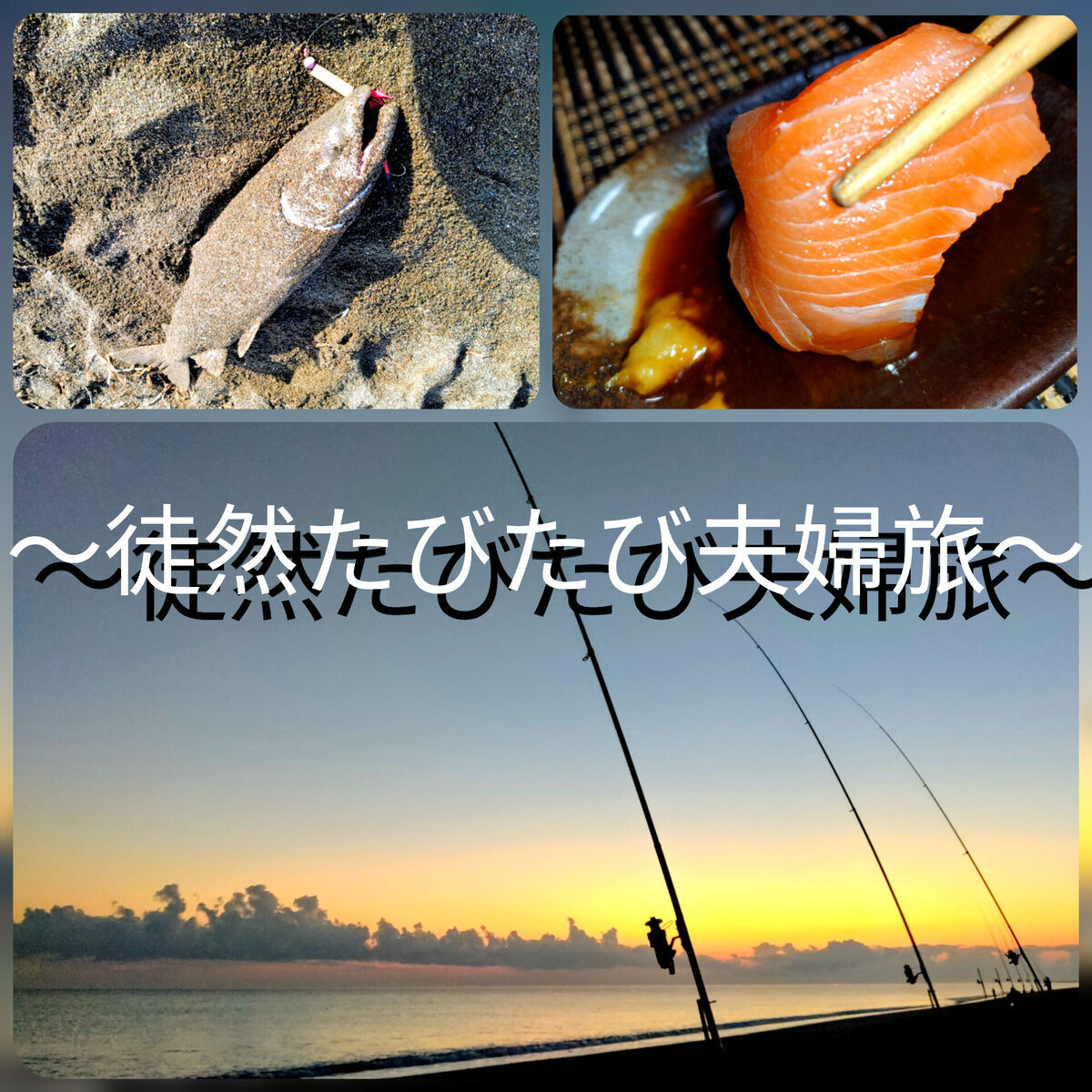 北海道 道東 秋鮭釣り ルイベで秋鮭を食す