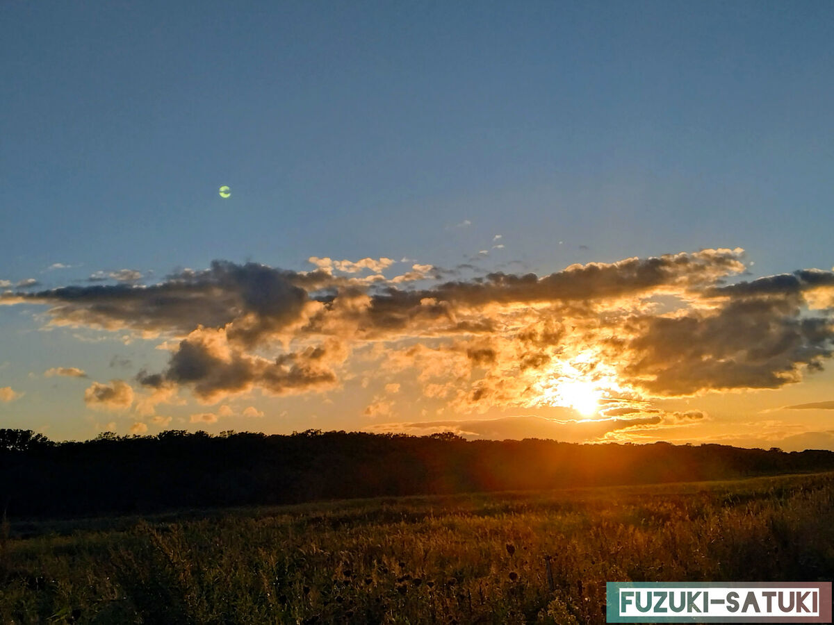 北海道 道東 秋鮭釣り 夕陽