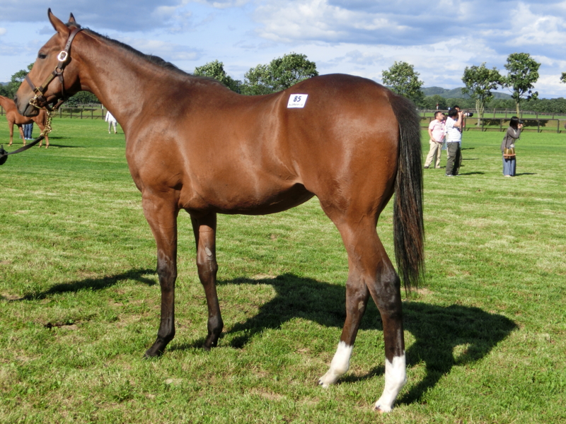 f:id:fuzutata:20130905143817j:plain