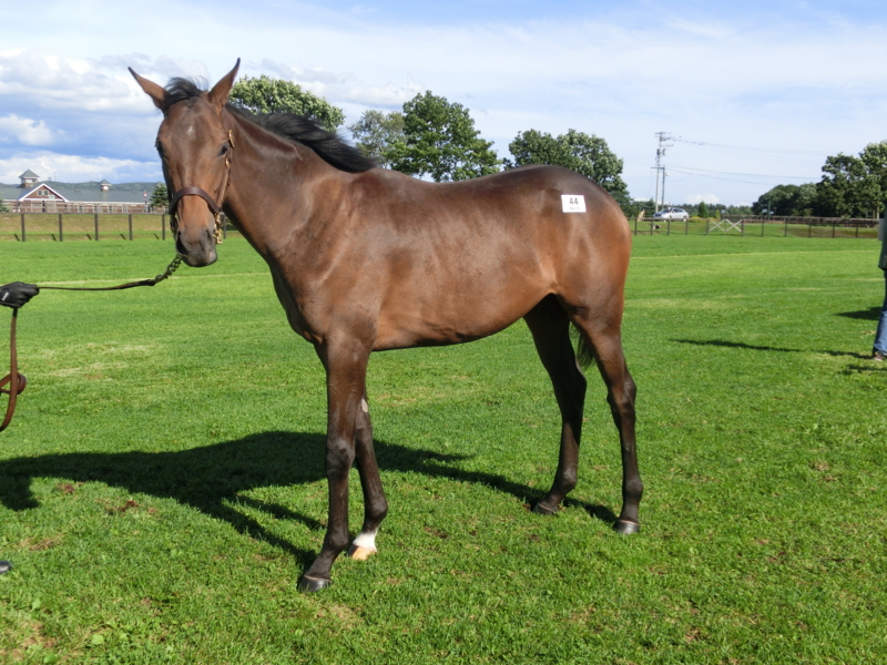 f:id:fuzutata:20130905144545j:plain