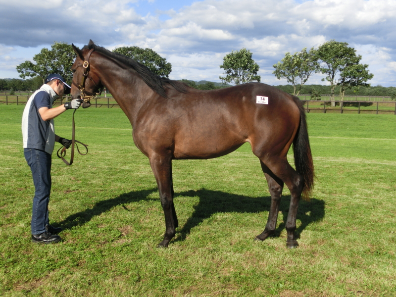 f:id:fuzutata:20130905145227j:plain