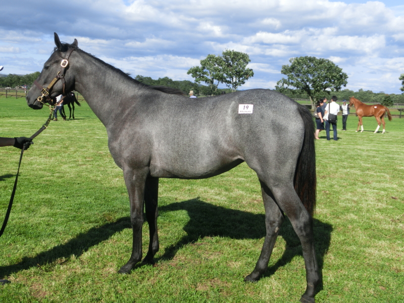 f:id:fuzutata:20130905150242j:plain