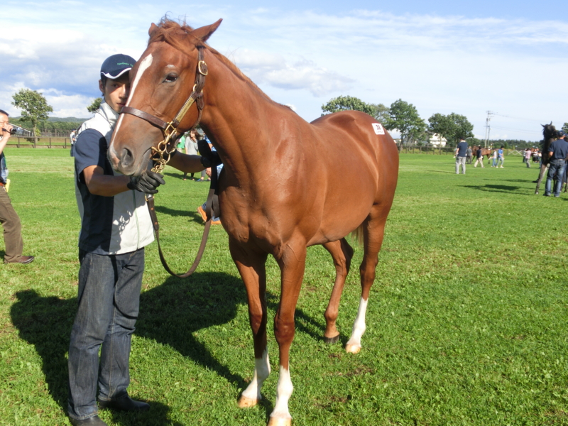 f:id:fuzutata:20130905150554j:plain