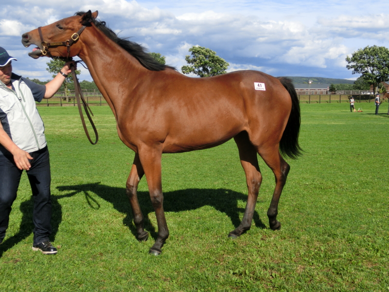 f:id:fuzutata:20130905150802j:plain