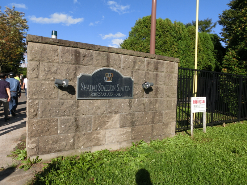 f:id:fuzutata:20130905152354j:plain