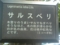 サルスベリ４