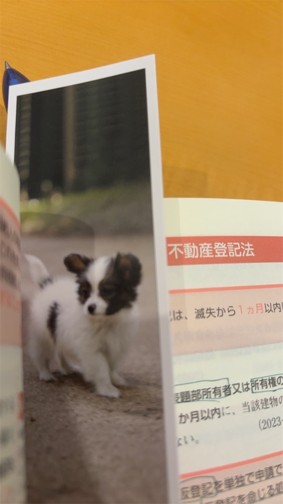 f:id:fwnc0822:20240620212027j:image