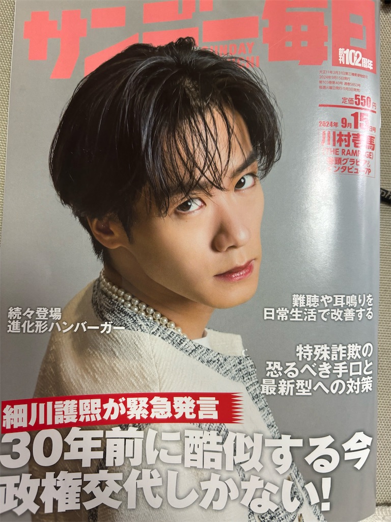 f:id:fwnc0822:20240908124934j:image