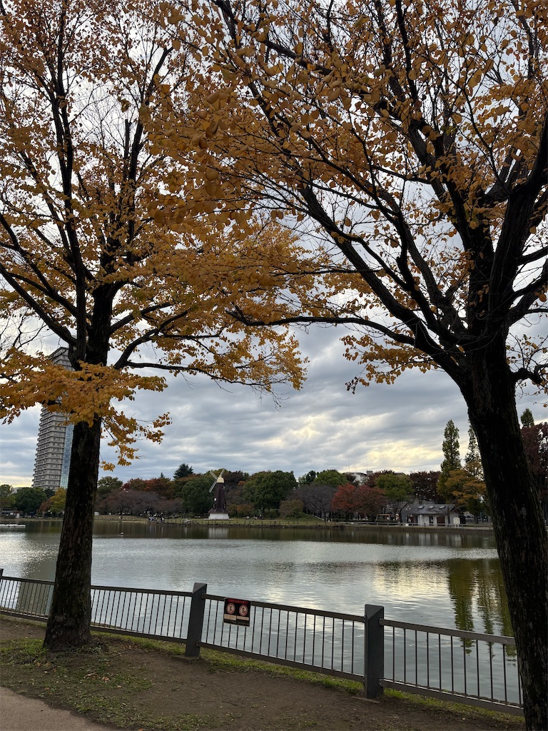 f:id:fwnc0822:20251111153047j:image
