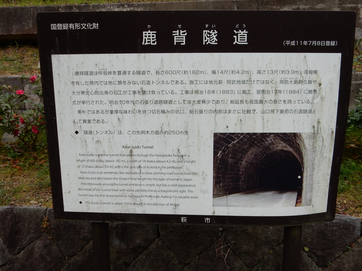 f:id:fwss:20201227095017j:plain