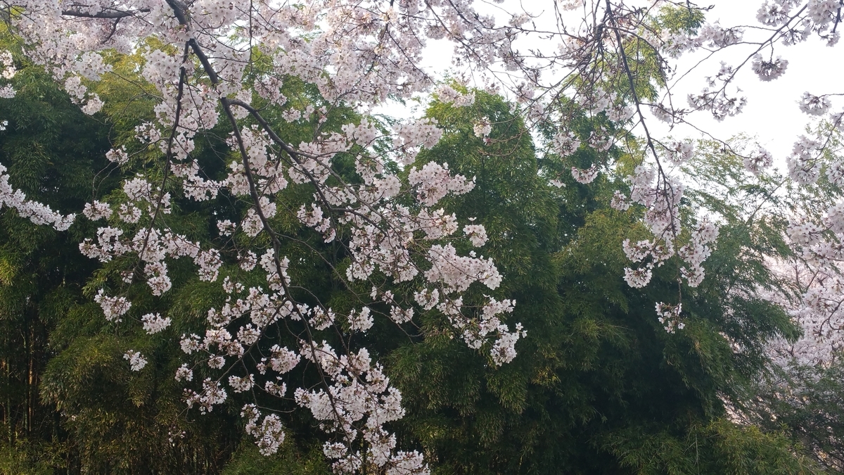 f:id:fwss:20201230080737j:plain