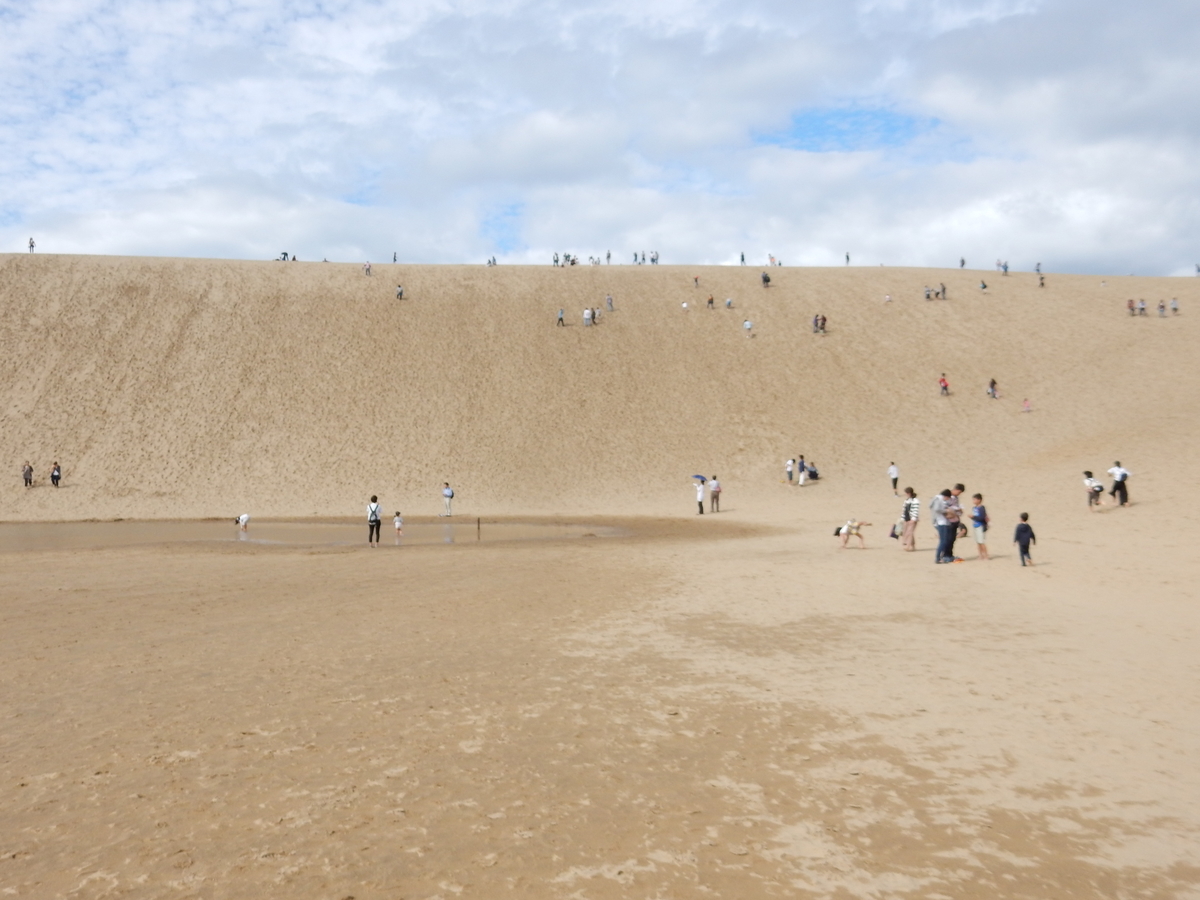 f:id:fwss:20210313105320j:plain