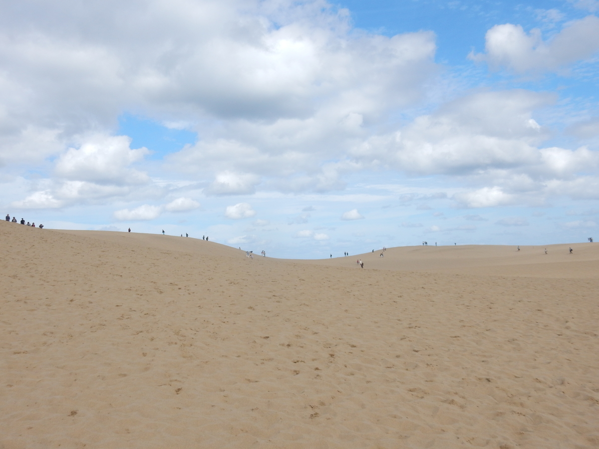 f:id:fwss:20210313105410j:plain