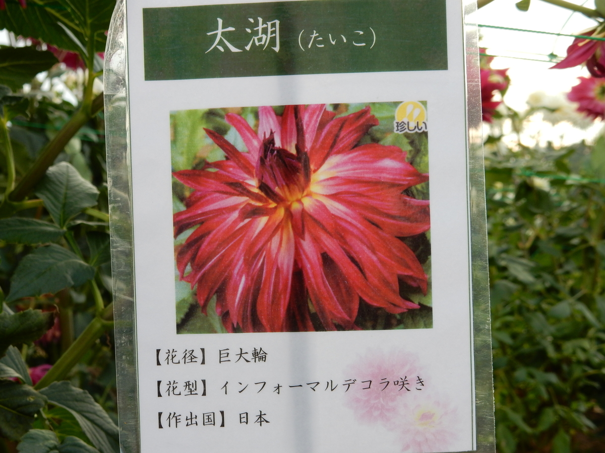 f:id:fwss:20210324204858j:plain