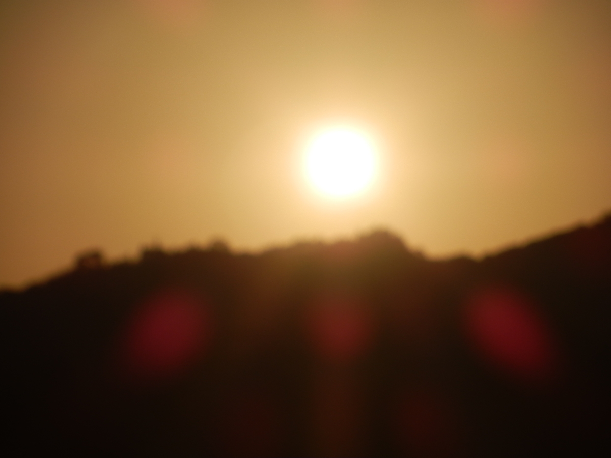 f:id:fwss:20210601063509j:plain
