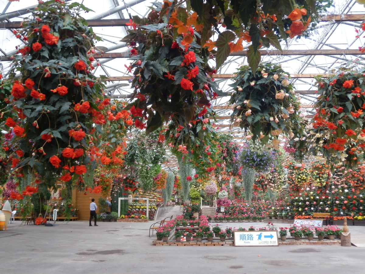 f:id:fwss:20210607175404j:plain