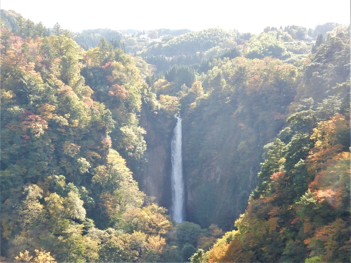 九重夢大吊り橋 大分県九重町 Fwssのえっさんブログ
