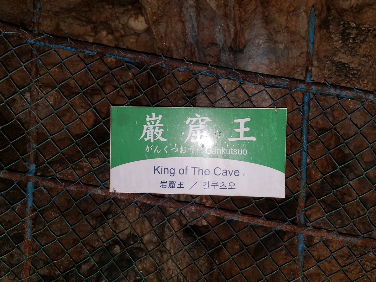 f:id:fwss:20210629164624j:plain