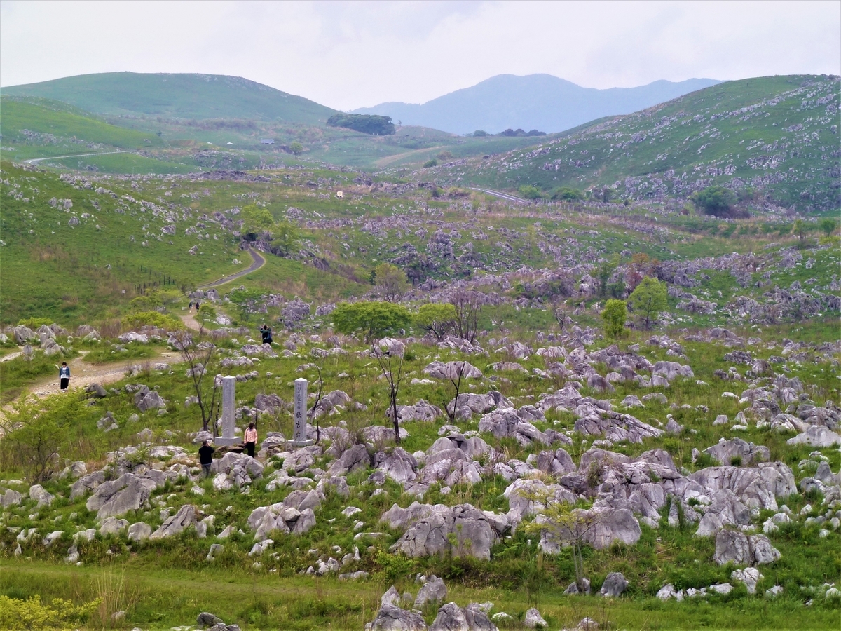 f:id:fwss:20210629165252j:plain