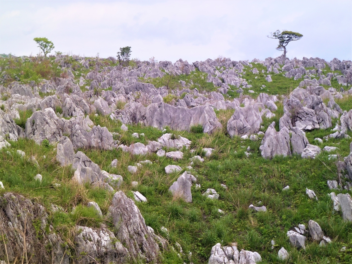 f:id:fwss:20210629165349j:plain