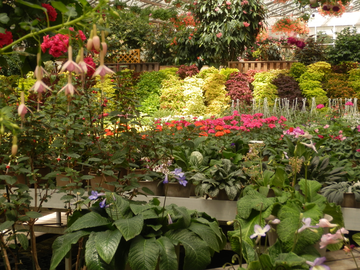 f:id:fwss:20210711205629j:plain