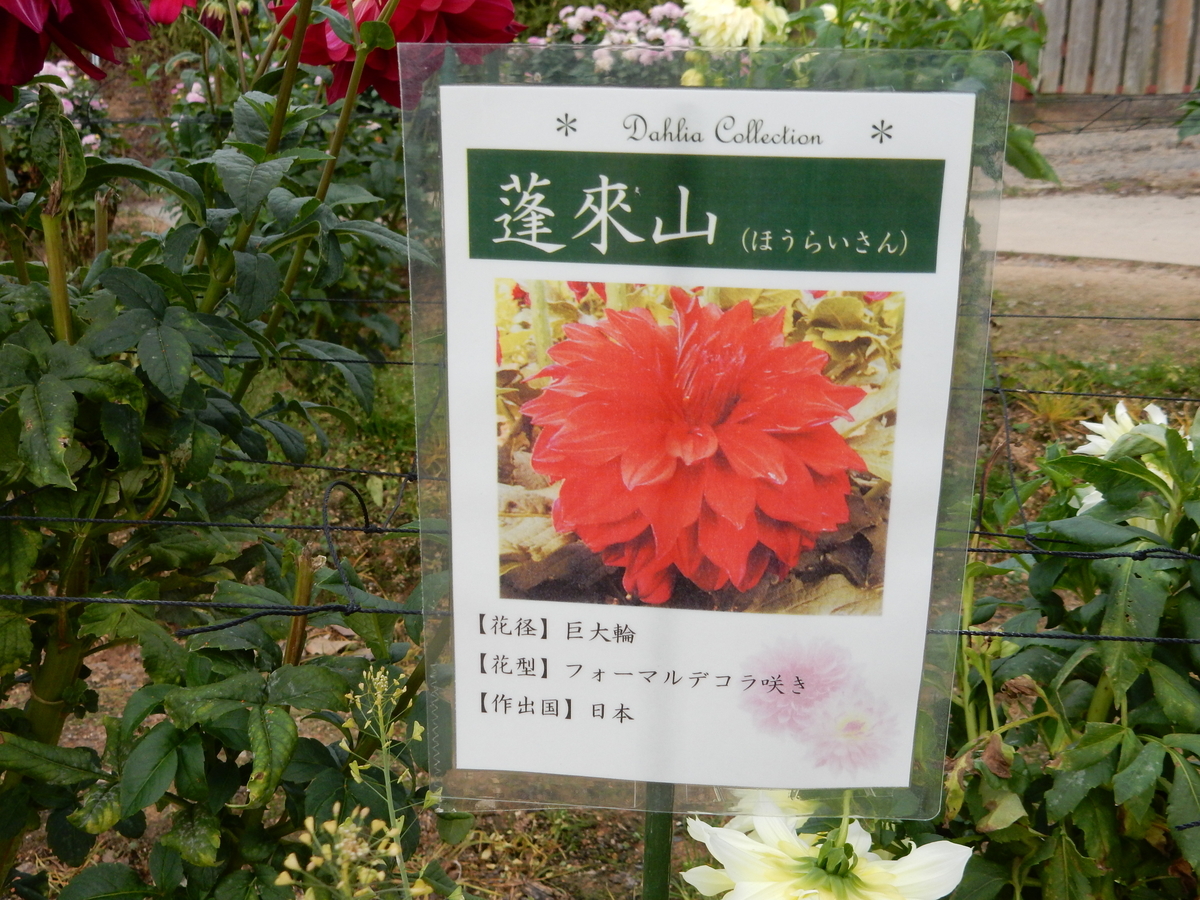 f:id:fwss:20210721102953j:plain