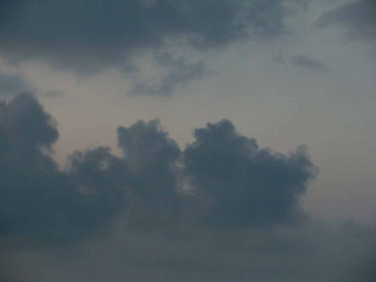 f:id:fwss:20210803202015j:plain