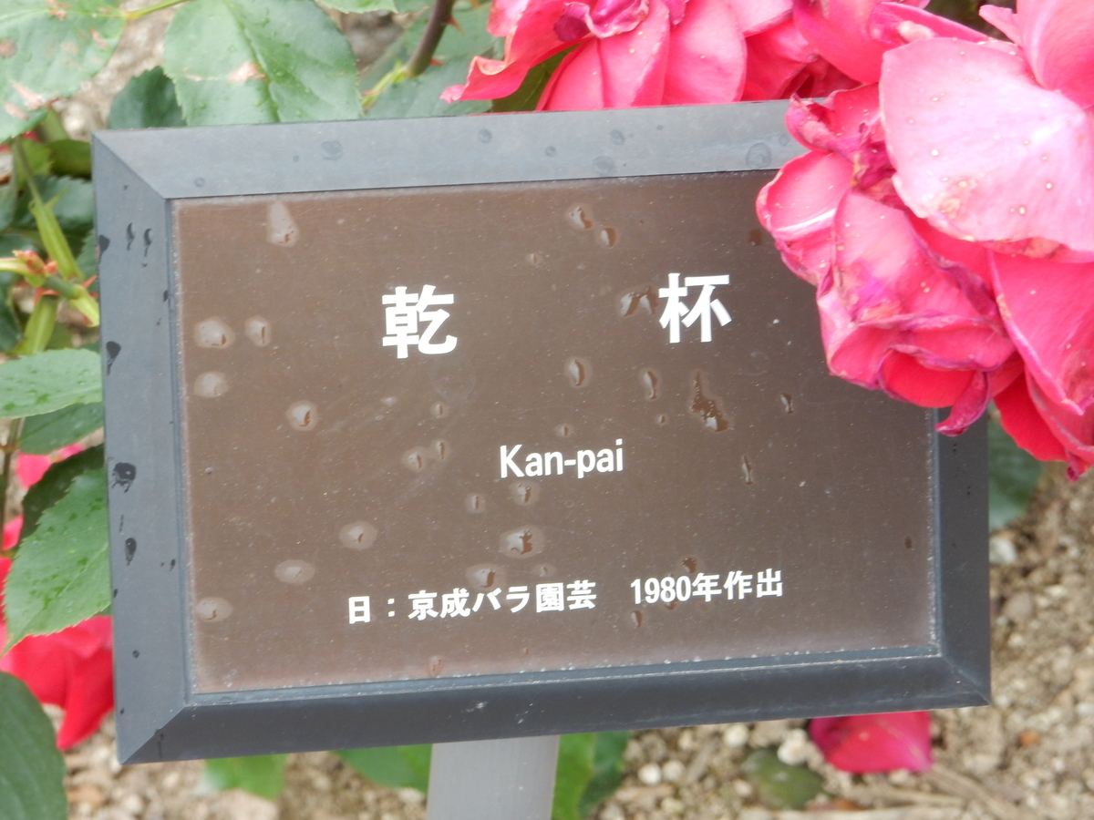 f:id:fwss:20210811153043j:plain