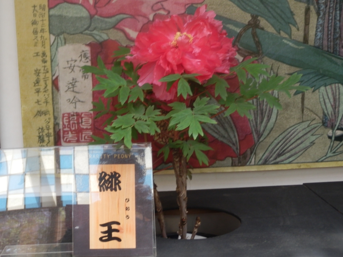 f:id:fwss:20210816151327j:plain